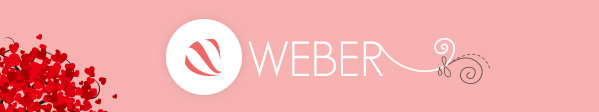WEB姉妹が制作したWordPressサイトのご紹介 #wacja2012
